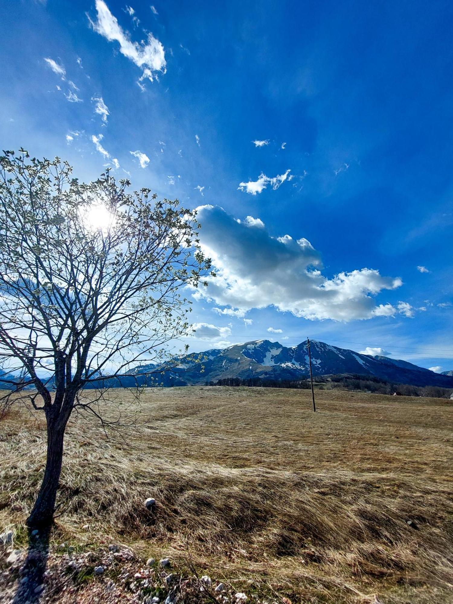 Domacinstvo Krstajic - Rural Holiday Žabljak Kültér fotó