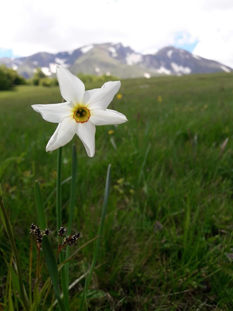 Domacinstvo Krstajic - Rural Holiday Žabljak Kültér fotó