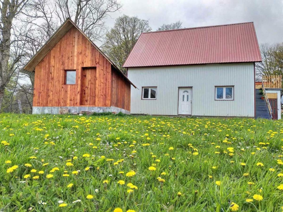 Domacinstvo Krstajic - Rural Holiday Žabljak Kültér fotó