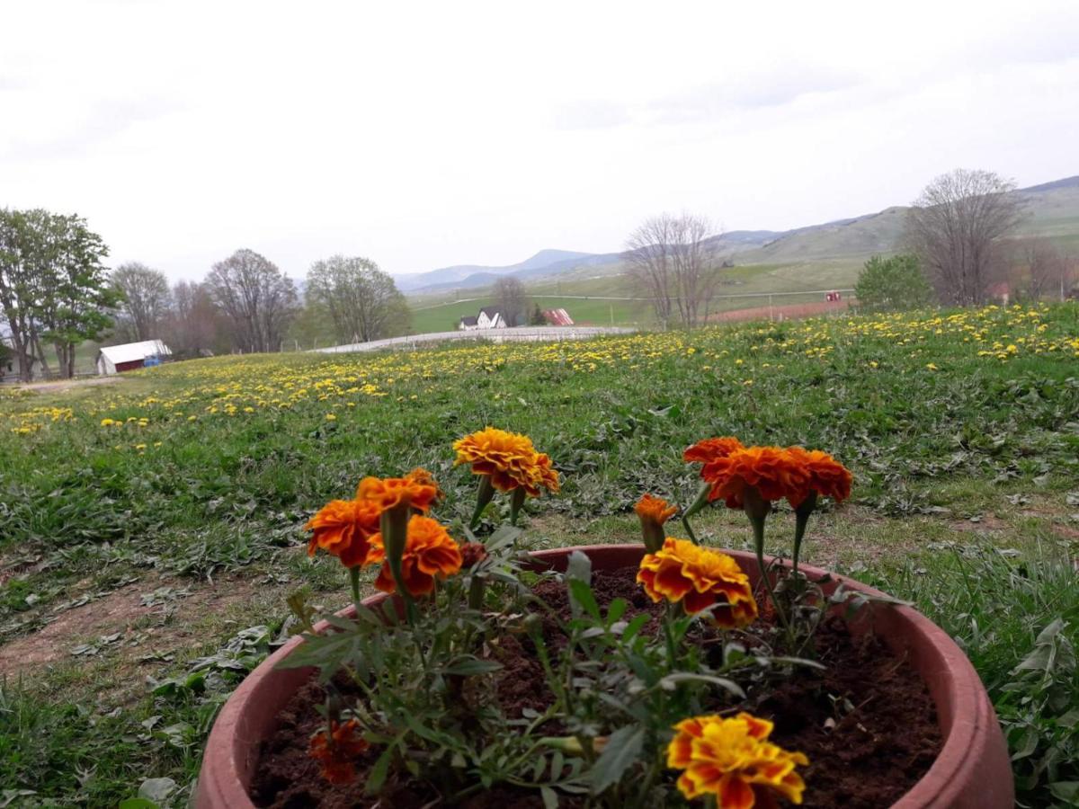 Domacinstvo Krstajic - Rural Holiday Žabljak Kültér fotó